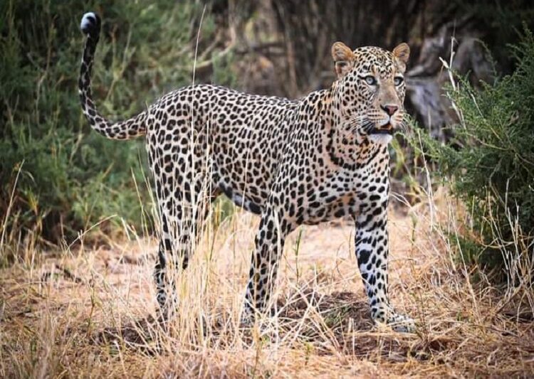 Best 3 days Tanzania safari tour package