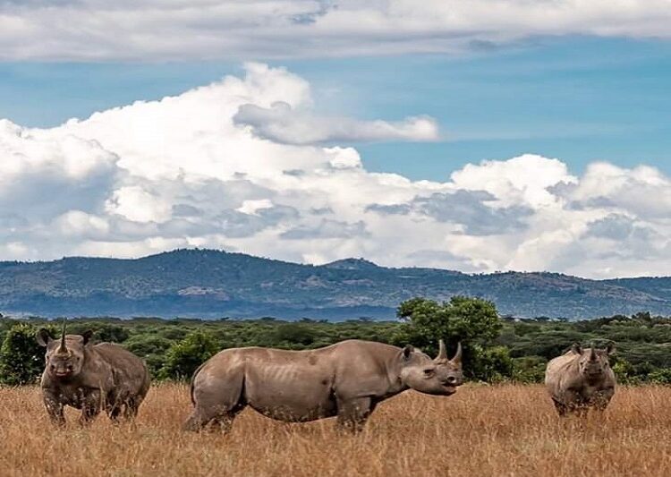 4 days Serengeti and Ngorongoro Crater
