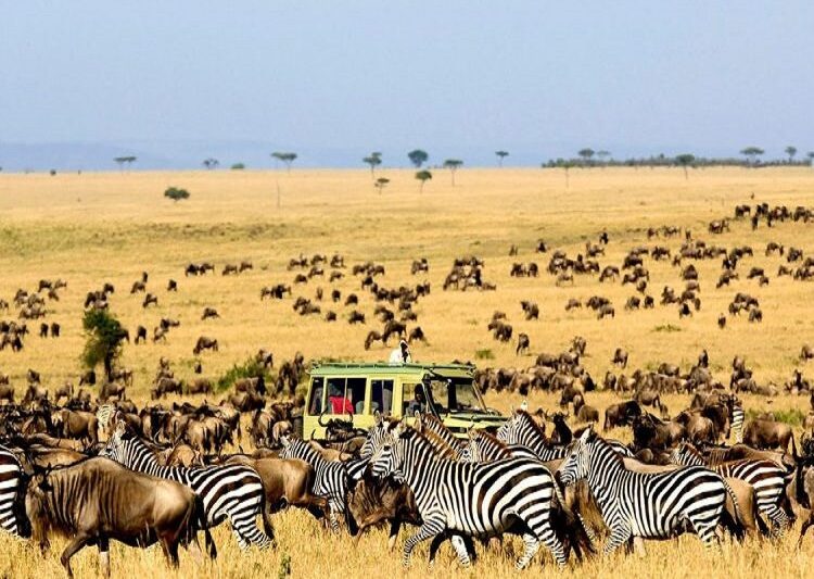 The best 4 days Serengeti Migration safari