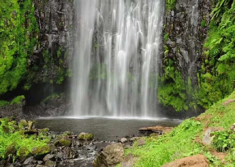 The best 1-day trip to Materuni waterfalls and Coffee tour