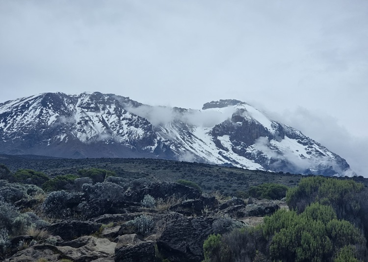 #1. Best Kilimanjaro Day hike Tour Machame Route